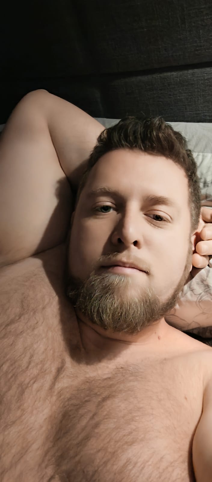 Profil de Tidjani, 37 ans, Libertine à Ehner