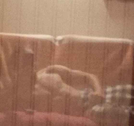 Profil de Germain, 23 ans, Libertine à Fouhren